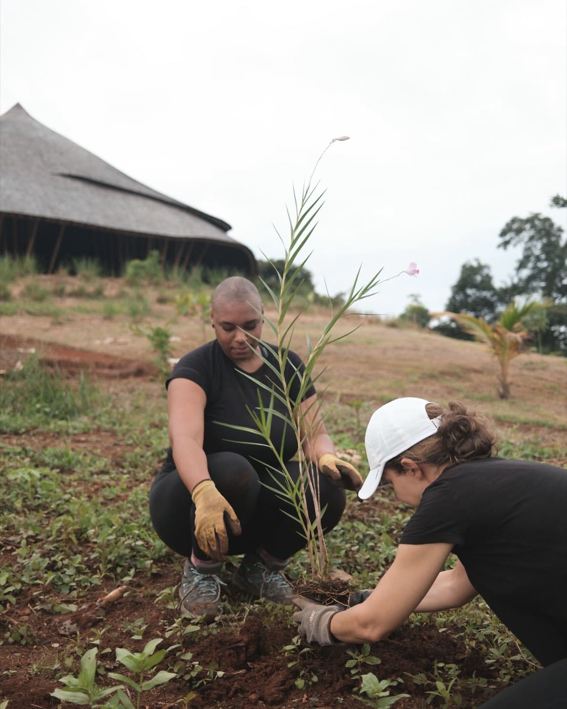 Residents planting a tree together at Tierramor