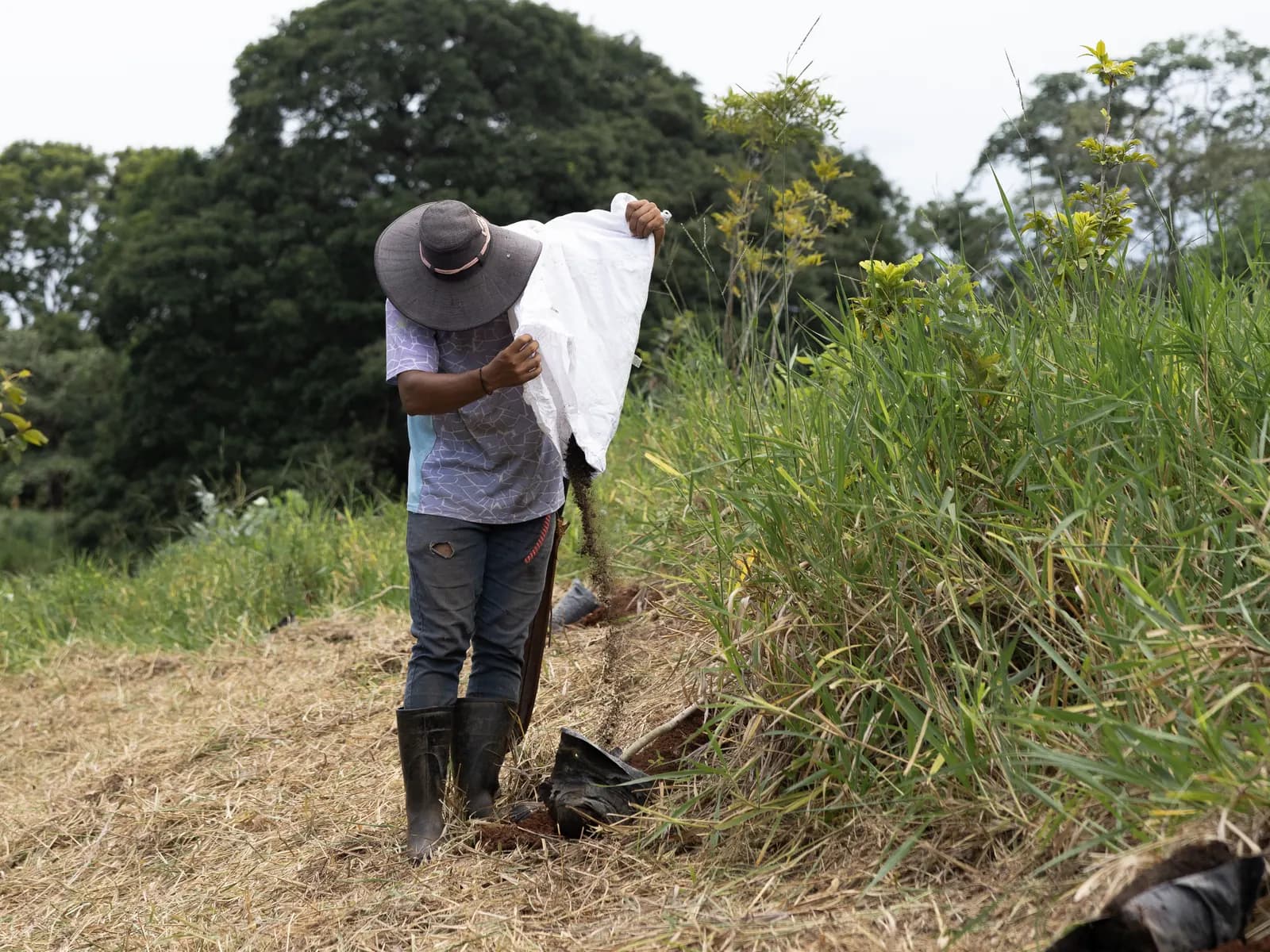 A member of the team emptying a sack of bio-input along the edge of a planted bank