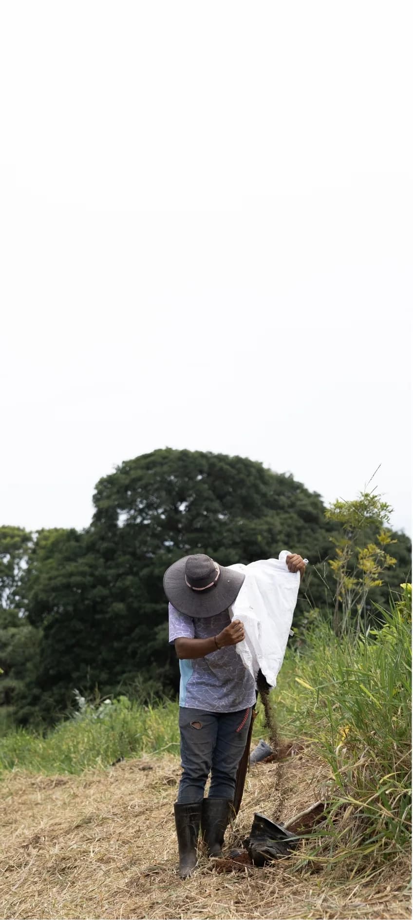A member of the team emptying a sack of bio-input along the edge of a planted bank