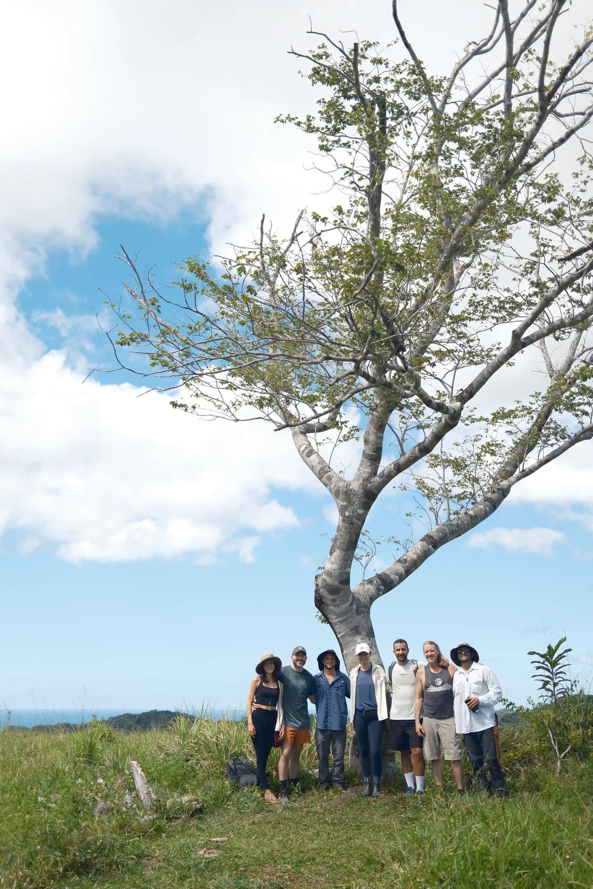 A group standing together under a broad tree on the ridge, the coast behind them