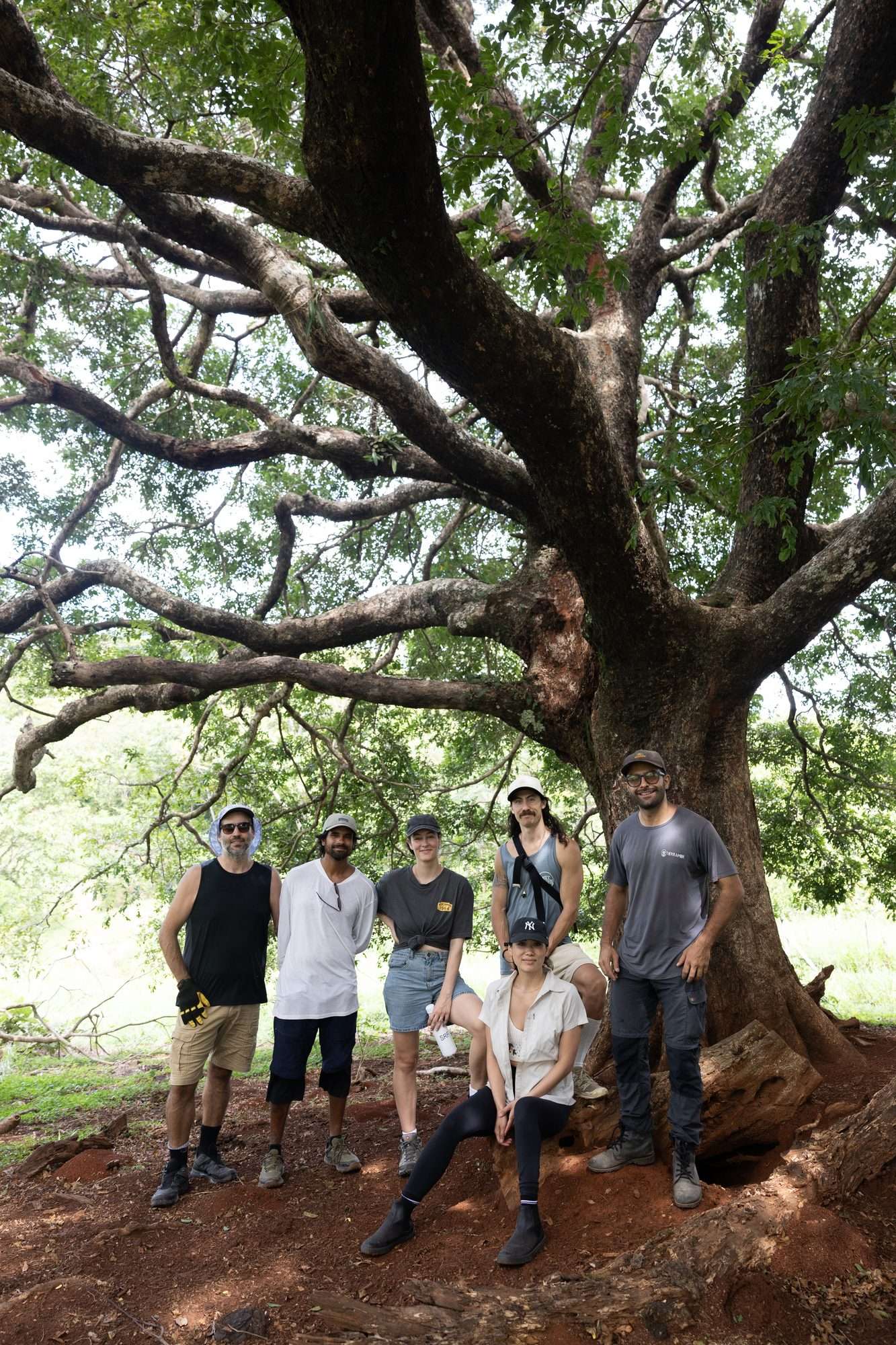 A group standing beneath a large shade tree on the land