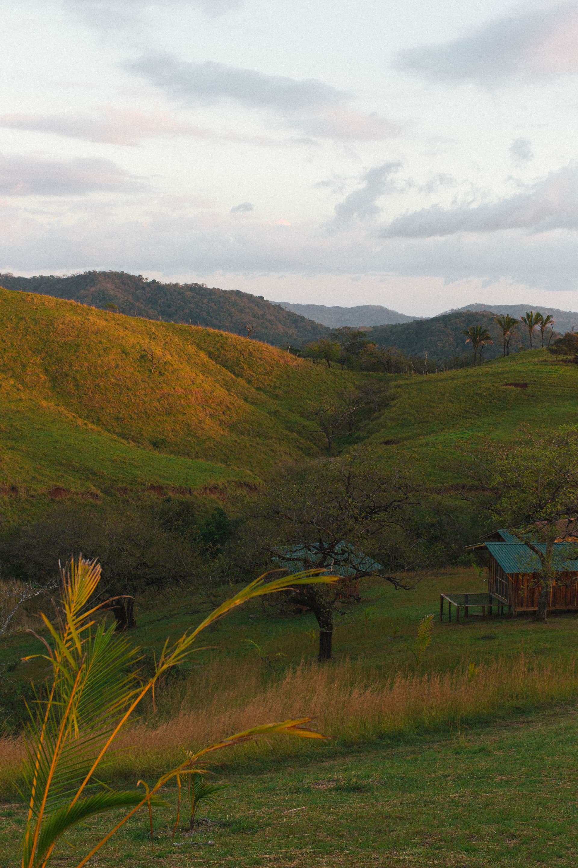 Tierramor's green hills, forest, and hillside casitas near Nosara