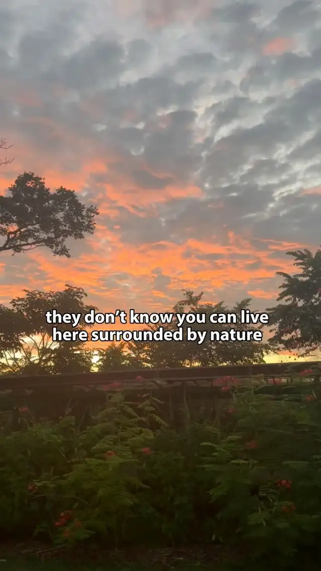 Most people don’t know this place exists: we’re a 700-acre regenerative farm in Nosara, Costa Rica, where you can live a