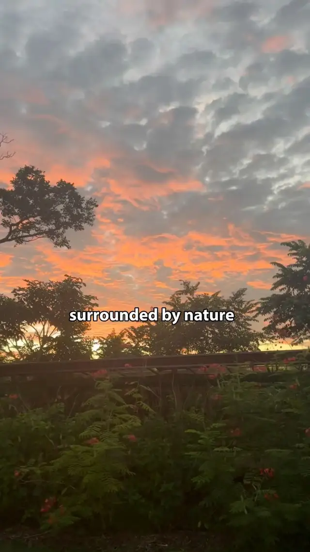 Most people don’t know this place exists: we’re a 700-acre regenerative farm in Nosara, Costa Rica, where you can live a